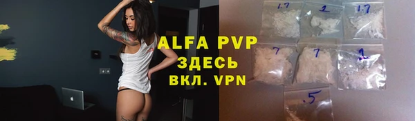a pvp Магас