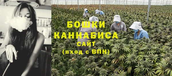 a pvp Магас