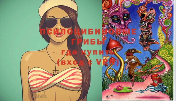 a pvp Магас