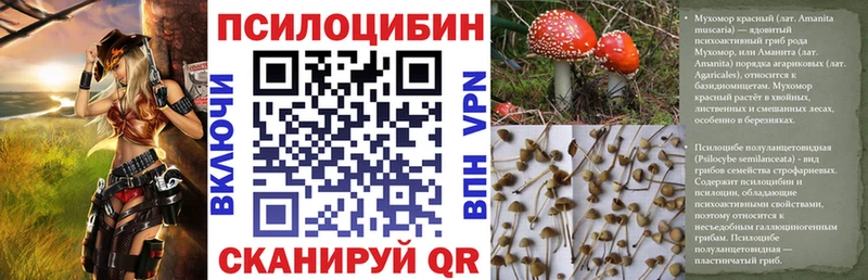 Купить  Анапа  Псилоцибиновые грибы Psilocybine cubensis 